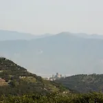 Santangelo &