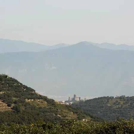 Santangelo &