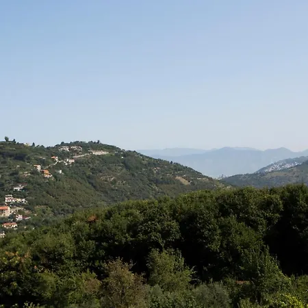 Santangelo &